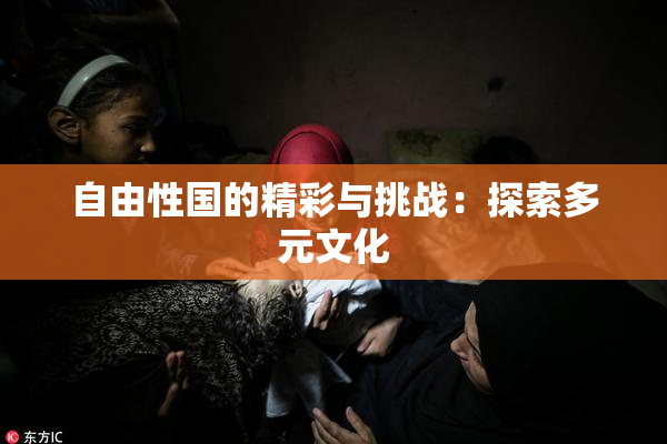 自由性国的精彩与挑战：探索多元文化