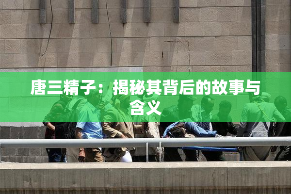 唐三精子：揭秘其背后的故事与含义