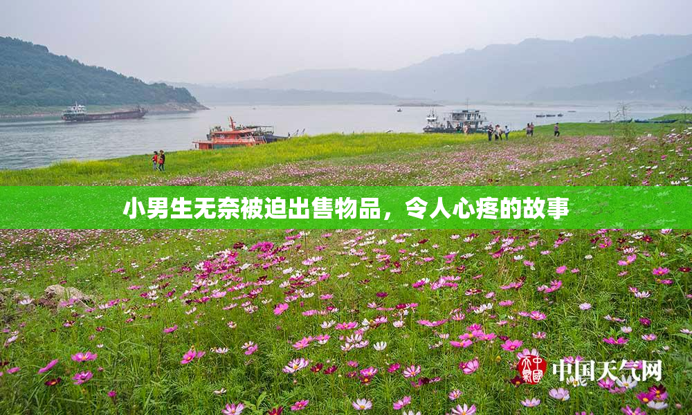 小男生无奈被迫出售物品，令人心疼的故事