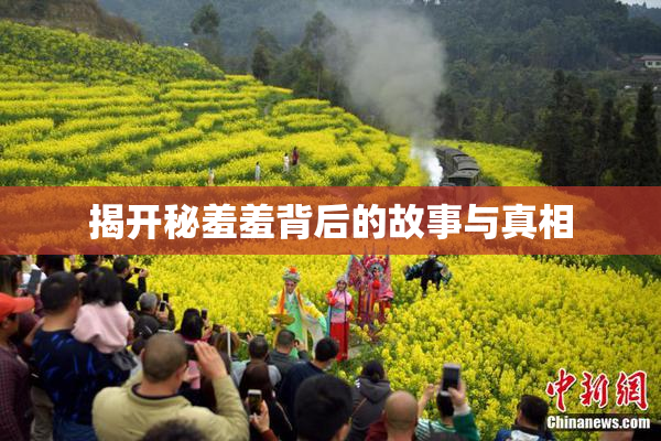 揭开秘羞羞背后的故事与真相