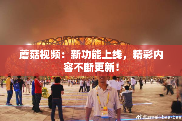 蘑菇视频：新功能上线，精彩内容不断更新！