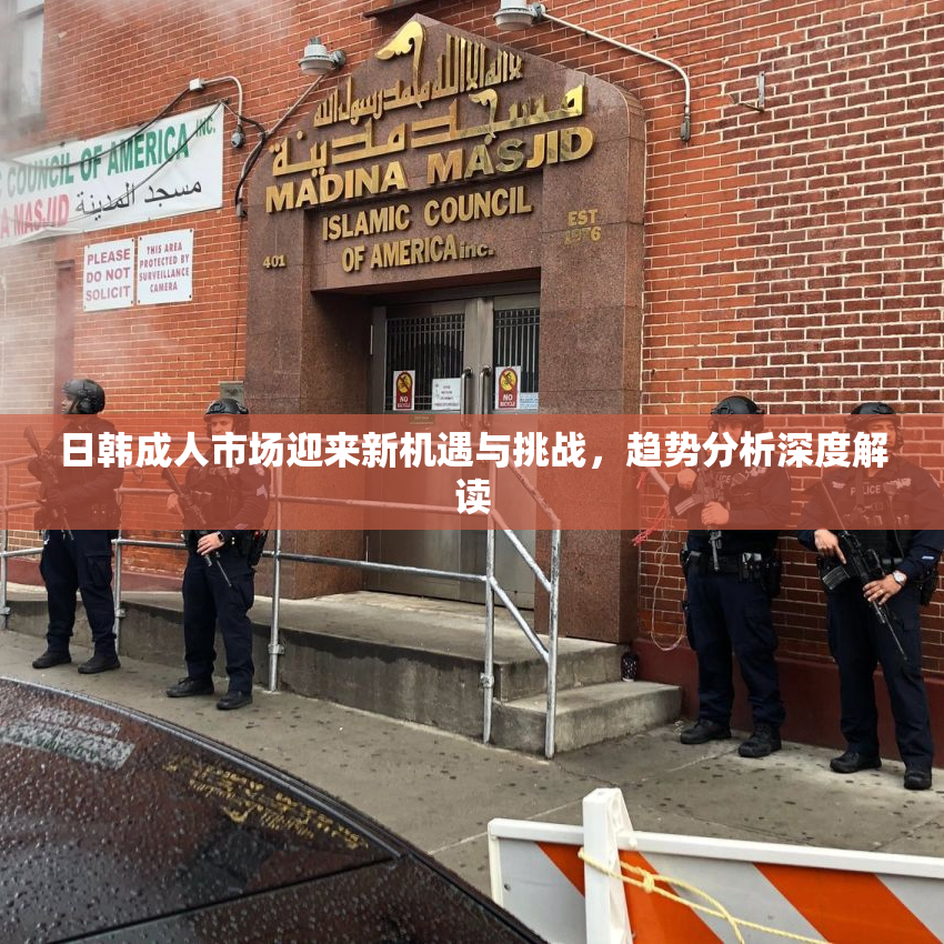 日韩成人市场迎来新机遇与挑战，趋势分析深度解读