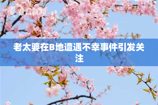 老太婆在B地遭遇不幸事件引发关注