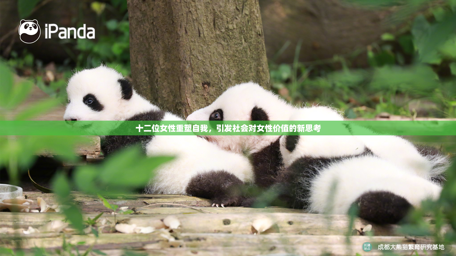 十二位女性重塑自我，引发社会对女性价值的新思考