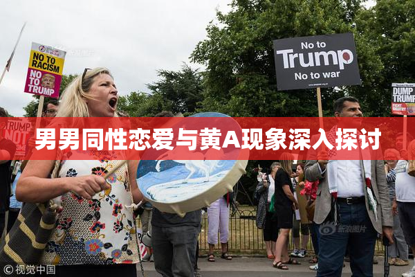 男男同性恋爱与黄A现象深入探讨
