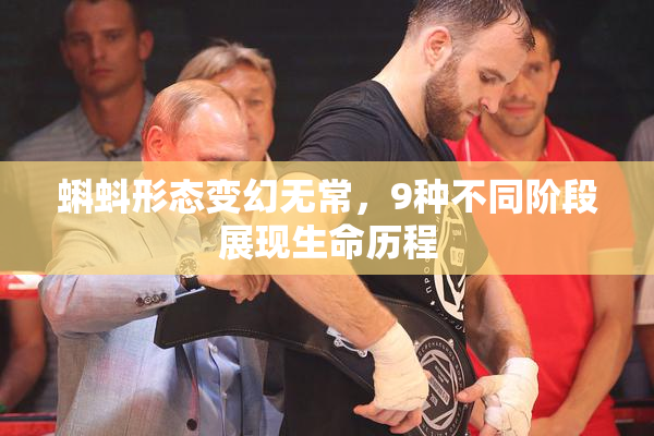 蝌蚪形态变幻无常，9种不同阶段展现生命历程