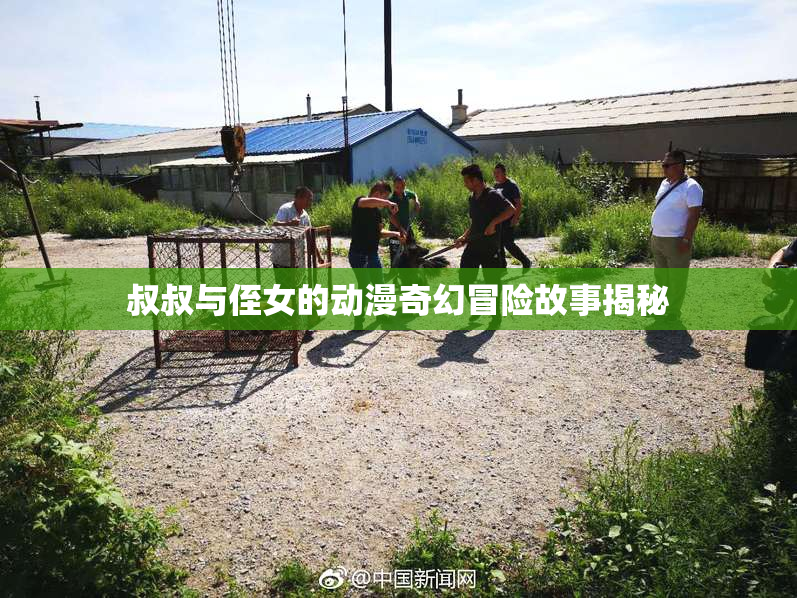 叔叔与侄女的动漫奇幻冒险故事揭秘