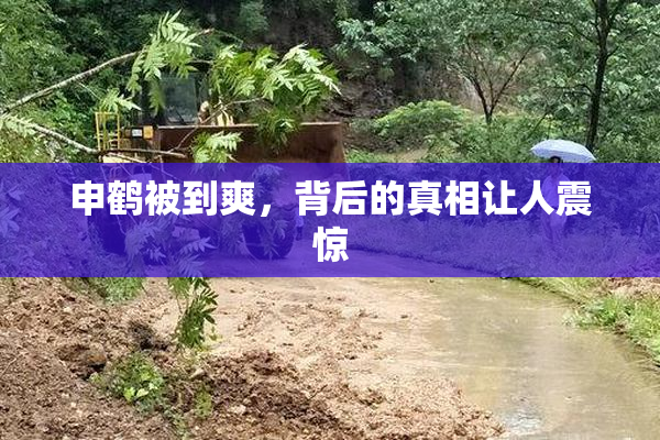 申鹤被到爽，背后的真相让人震惊