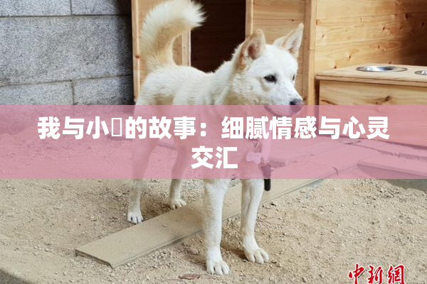 我与小娻的故事：细腻情感与心灵交汇