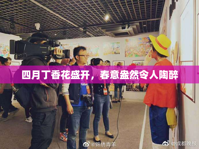 四月丁香花盛开，春意盎然令人陶醉