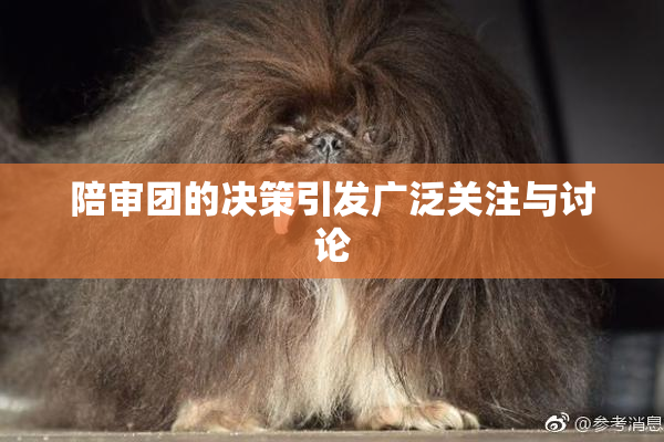 陪审团的决策引发广泛关注与讨论