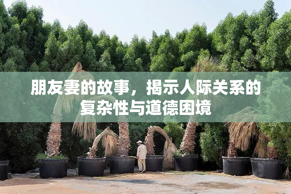朋友妻的故事，揭示人际关系的复杂性与道德困境