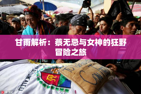 甘雨解析：蔡无忌与女神的狂野冒险之旅