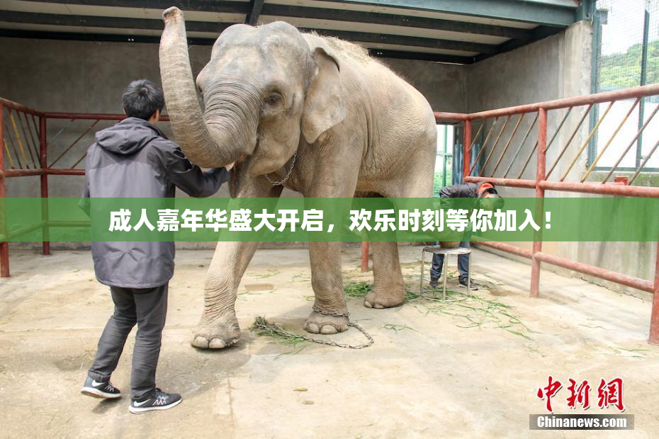 成人嘉年华盛大开启，欢乐时刻等你加入！