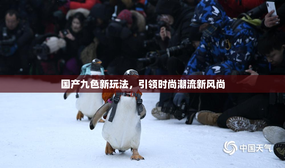 国产九色新玩法，引领时尚潮流新风尚
