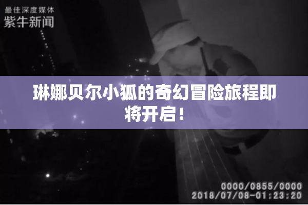 琳娜贝尔小狐的奇幻冒险旅程即将开启！