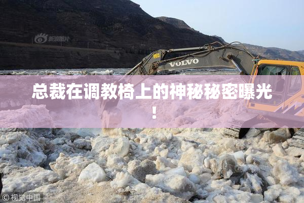 总裁在调教椅上的神秘秘密曝光！