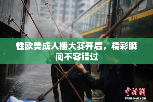 性欧美成人播大赛开启，精彩瞬间不容错过