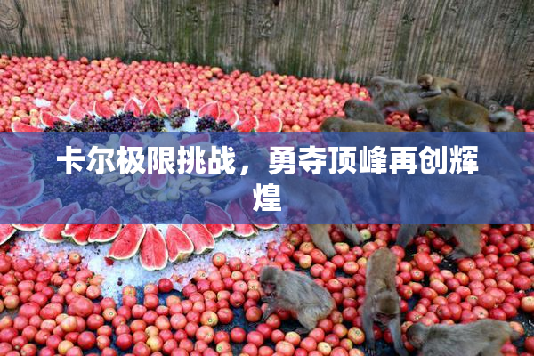 卡尔极限挑战，勇夺顶峰再创辉煌