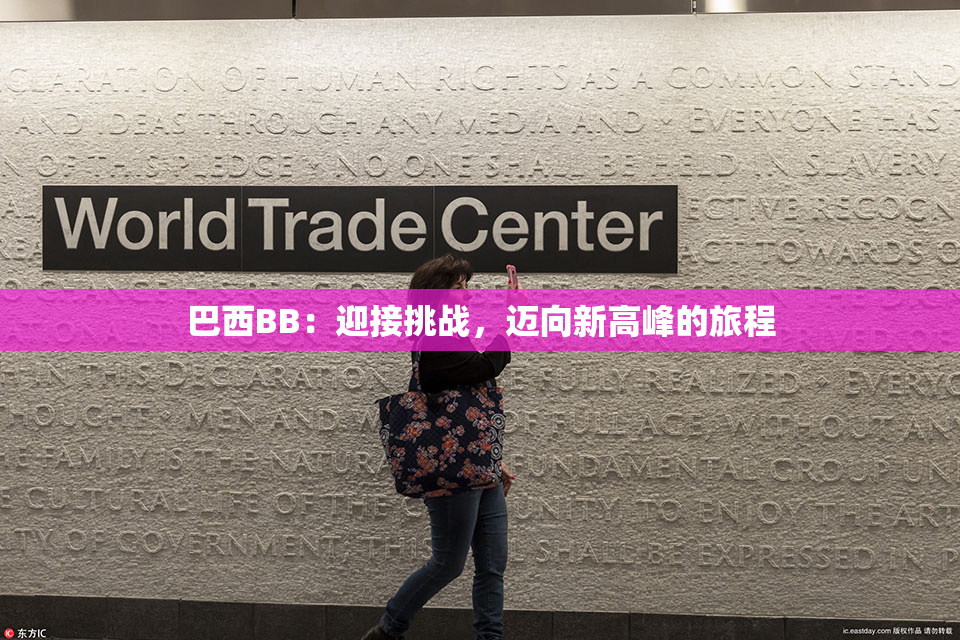 巴西BB：迎接挑战，迈向新高峰的旅程