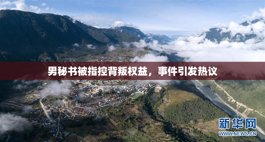 男秘书被指控背叛权益，事件引发热议