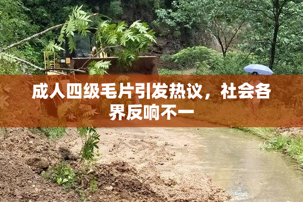 成人四级毛片引发热议，社会各界反响不一