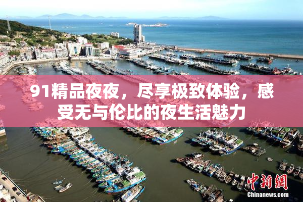 91精品夜夜，尽享极致体验，感受无与伦比的夜生活魅力
