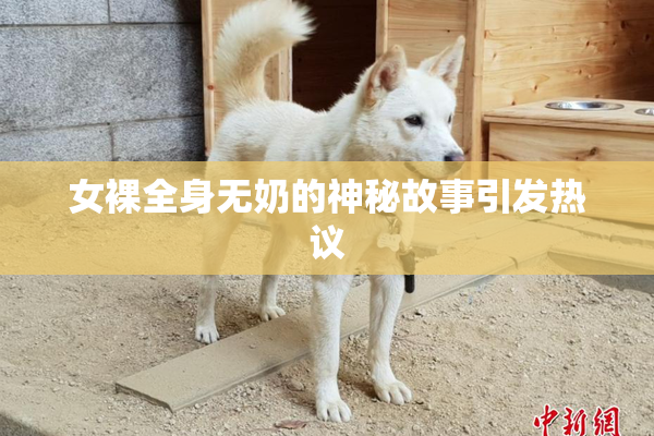 女裸全身无奶的神秘故事引发热议
