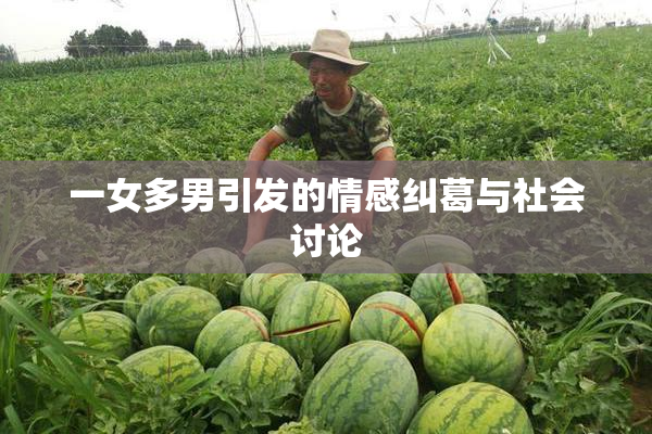 一女多男引发的情感纠葛与社会讨论