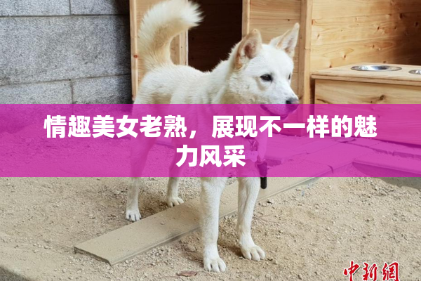 情趣美女老熟，展现不一样的魅力风采