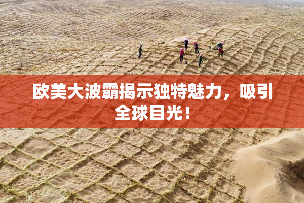 欧美大波霸揭示独特魅力，吸引全球目光！