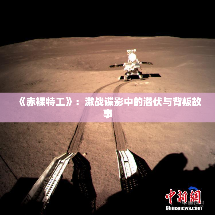 《赤裸特工》：激战谍影中的潜伏与背叛故事