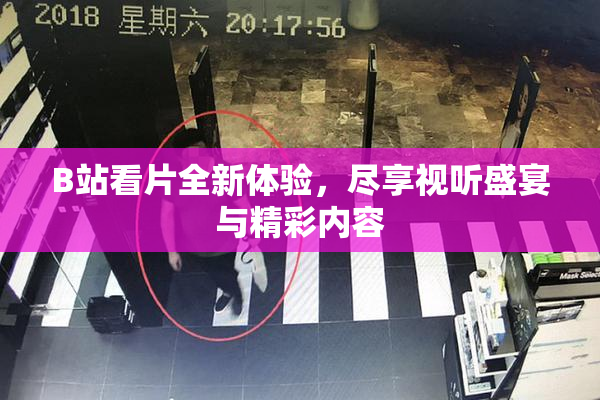 B站看片全新体验，尽享视听盛宴与精彩内容