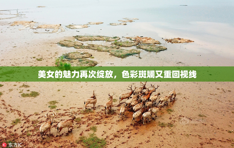 美女的魅力再次绽放，色彩斑斓又重回视线