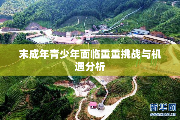 末成年青少年面临重重挑战与机遇分析