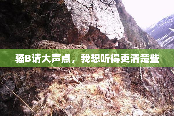 骚B请大声点，我想听得更清楚些