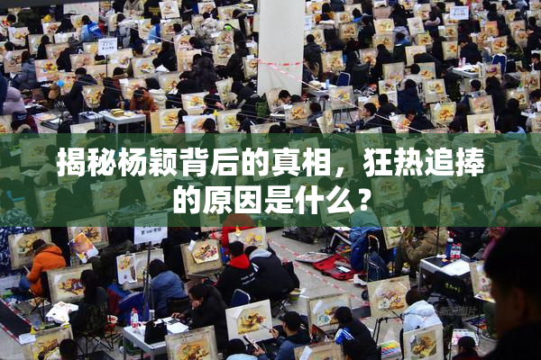 揭秘杨颖背后的真相，狂热追捧的原因是什么？