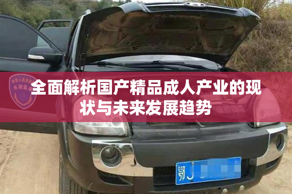 全面解析国产精品成人产业的现状与未来发展趋势