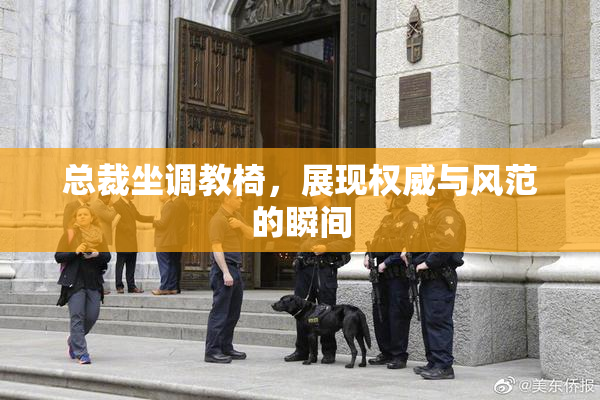 总裁坐调教椅，展现权威与风范的瞬间