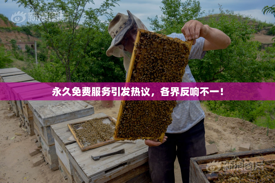 永久免费服务引发热议，各界反响不一！