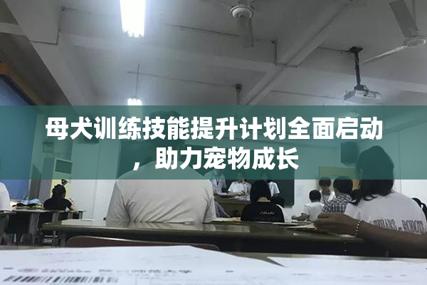 母犬训练技能提升计划全面启动，助力宠物成长