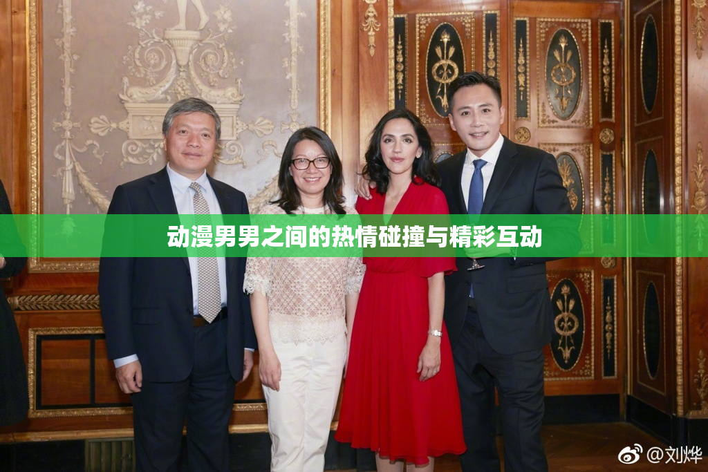 动漫男男之间的热情碰撞与精彩互动