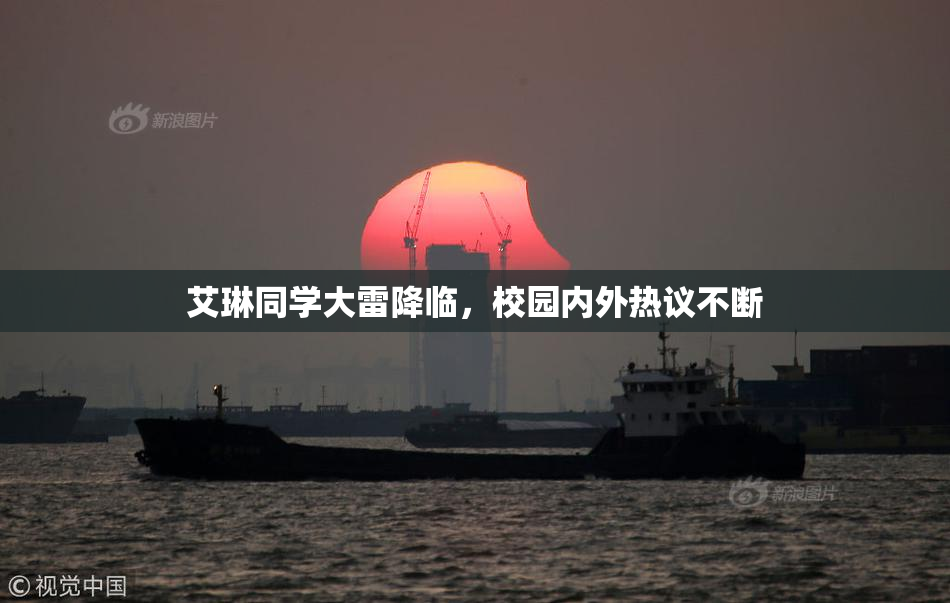 艾琳同学大雷降临，校园内外热议不断