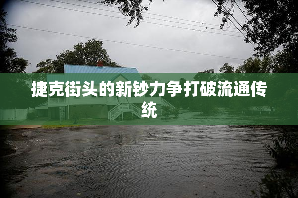捷克街头的新钞力争打破流通传统