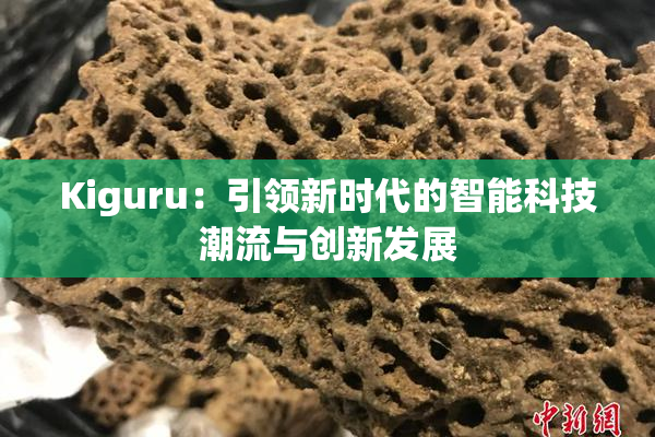 Kiguru：引领新时代的智能科技潮流与创新发展