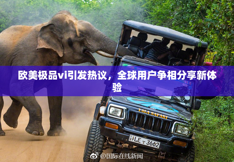 欧美极品vi引发热议，全球用户争相分享新体验
