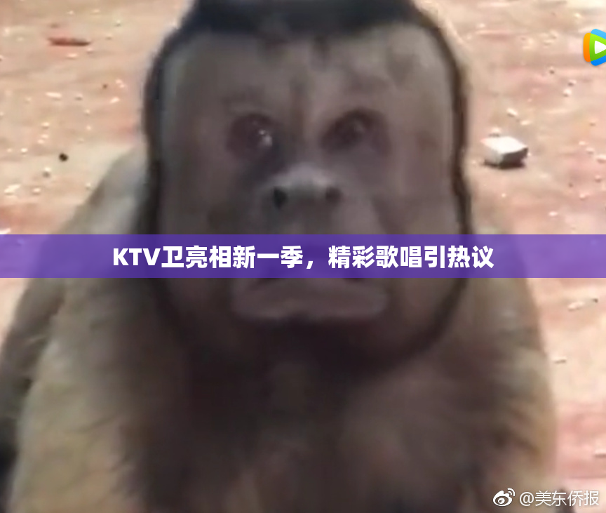 KTV卫亮相新一季，精彩歌唱引热议