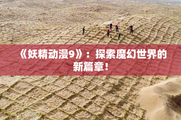 《妖精动漫9》：探索魔幻世界的新篇章！