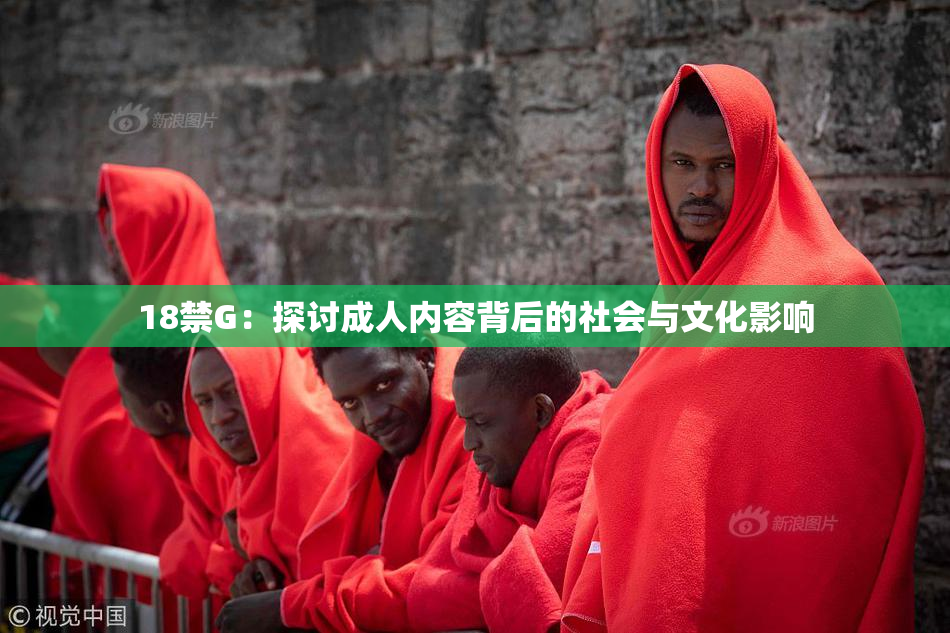 18禁G：探讨成人内容背后的社会与文化影响