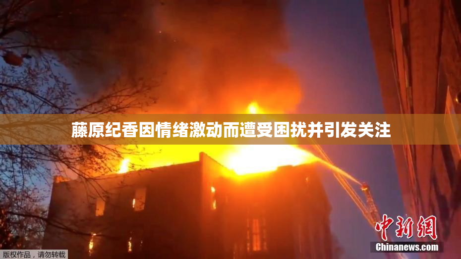 藤原纪香因情绪激动而遭受困扰并引发关注